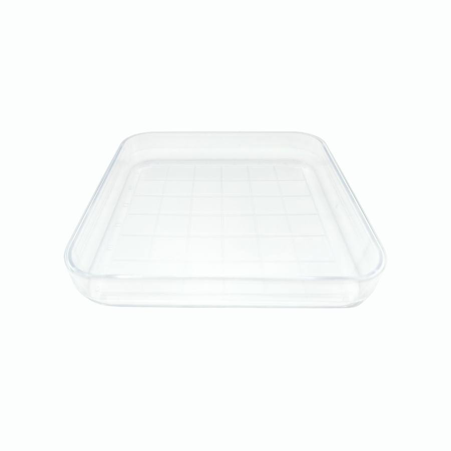 VMLab|Placa Petri Cuadrada con Retícula 100×100